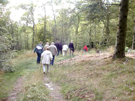 Tislum 16-08-06 (30)