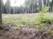 Tislum 16-08-06 (22)