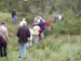 Tislum 16-08-06 (5)