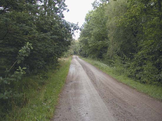P8152104